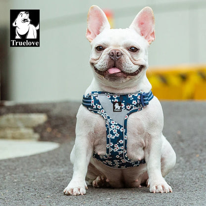 Floral Padded Dog Harness