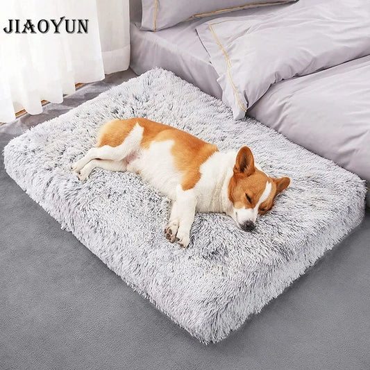 Plush Square Dog Mattress