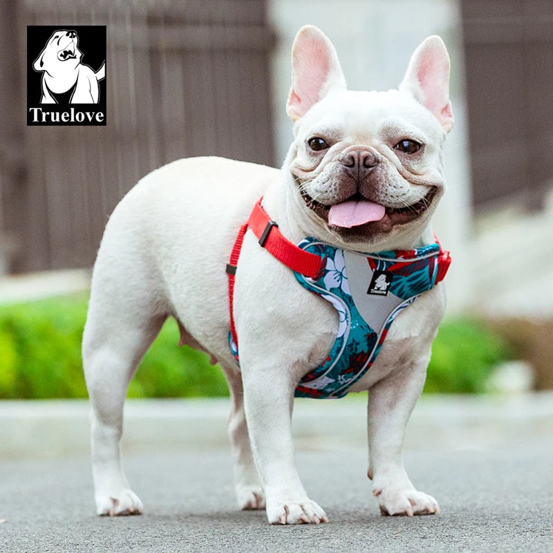 Floral Padded Dog Harness