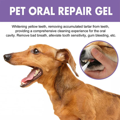 Pet Teeth Whitening Pen